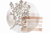 欧美一区二区三区短片制作推荐资源-影迷首选